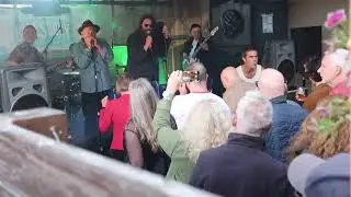 Pat Fulgoni Blues Experience ft Babajack at Bluesbury Festival 2025
