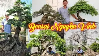 NGUYỄN VINH | #0989744879 | MỚI ĐẸP GIÁ MỀM CẦN THĂNG, ME, LÂM VỒ, SAM HƯƠNG, MCT SOI BÓNG, SI BÔNG.