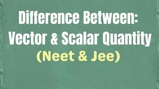 Difference Between Vector & Scalar Quantity