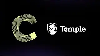 Круглосуточная институциональная торговля на базе Canton: Temple Digital Group