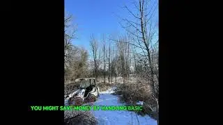 What is the cheapest way to remove a tree in Cedar Grove, Wisconsin?