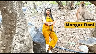 Mangar Bani - A Beautiful forest to visit with family near Delhi, NCR |Mangar village Faridabad