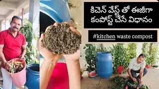 Converting kitchen waste into compost | కిచెన్ వేస్టు ఈజీగా కంపోజ్ చేసే విధానం| 