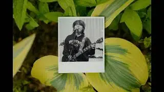 급한노새 (Rosai in Hurry) - 럭키 (Lucky) [MUSIC VIDEO]