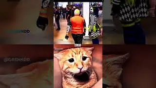 The best Clown 💀 #meme #cat #dance