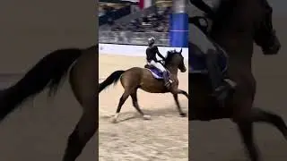 🇮🇹 VERONA ARENA FISE 2023 - Gangster de Beaufur 🏅5^cl. Master sport Silver h. 125