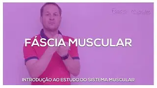 Fáscias musculares
