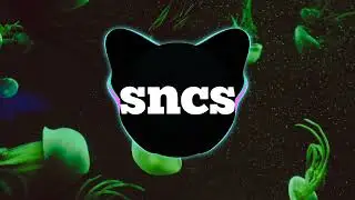 Nilak kalkkks hola - (sncs song release)