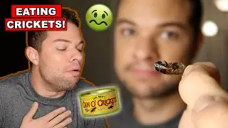 Cricket Eating Challenge! - Insect Taste Test