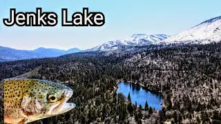 We Dialed In The Bite | Jenks Lake Trout Fishing Opener (First Trout Plants)