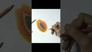 Colored pencil Drawing  #drawing #art #howtodraw