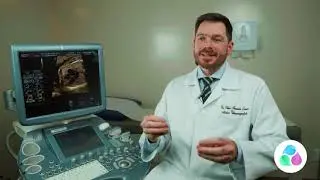 Translucência nucal (TN)