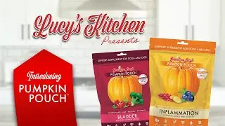 Pumpkin Pouch | Grandma Lucy's