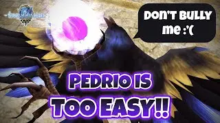Guide on How to Kill Pedrio EASILY - Toram Online