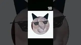 10 фаза ЖЛШ