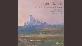 Bruckner: Os justi meditabitur sapientiam, WAB 30