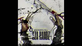 GrAViTy Aka BIG POPPA PILL - SZA HANDZ