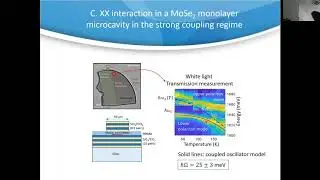 RICHARD Maxime, Exciton-exciton interaction beyond the hydrogenic picture in a MoSe2 microcavity