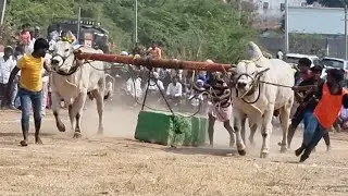 కోడేరు సీనియర్ విభాగం బండలాగుడు పోటీలు 4వ జత రమేష్ నాయుడు & బాపతి కొండారెడ్డి