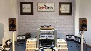 Foro Bana - Elac Vela BS 403, Octave V40 SE, Accutics Arts Player ES, Signal cable and Ansuz cable
