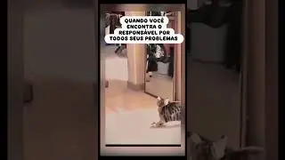 Quando encontra o respons&aacute;vel pelos problemas #ora&ccedil;&atilde;o #memes #confia #funny #humor #confiarnosenhor