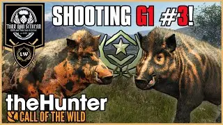 The 3rd G1 Boar Falls Tonight… | COTW (Portrait)