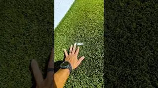 Other options to protect turf from burning other than window tints? #turf #windowtint #windowfilm