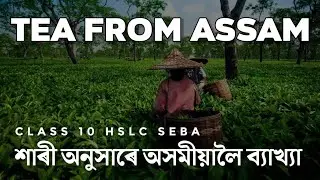 Tea from Assam Class 10 Explanation in Assamese | Tea from Assam SEBA Assamese Explanation HSLC