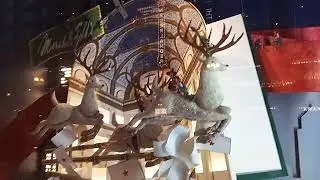 Last in a Series: Macy's State St. (Marshall Fields Tribute) Christmas/Holiday Windows (Nov. 2025)!