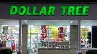 Dollar Tree (DLTR) Quarterly Outlook Below Estimates