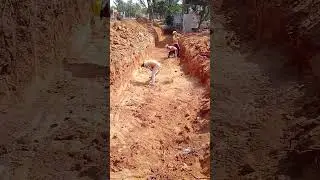 Pcc work on plinth/diy pest control/foundation termite treatment/viral video/plinth level