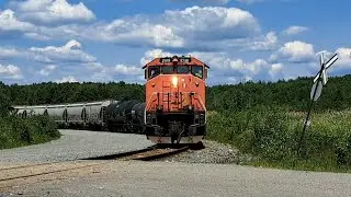 NOISY C44-9WL LEADS CANADIAN NATIONAL TRAIN L59831-01 AS IT IS GOOD TO GO!