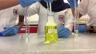 DC Scicomp Elephant Toothpaste