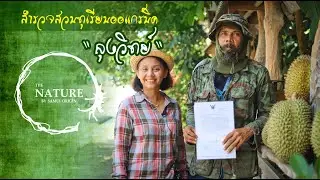 The Nature Samui เยี่ยมชมสวนทุเรียนออร์แกนิค ลุงวิทย์ EP-1