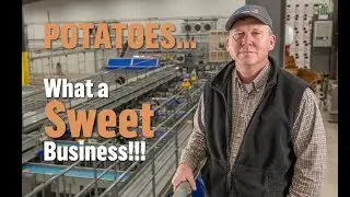 Lilly-Toyota Case Study Video: Matthews Ridgeview Sweet Potato Farms