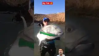 Catching Big Fish In The Sea #fishing #fish #youtubeshorts #greenscreen #viralvideo