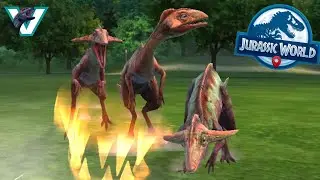 Small Dog Syndrome In A Dinosaur! Unlocking Compsocaulus! Jurassic World Alive - Ep58