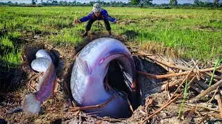 Wow unique! a fisherman skills catch a lots of fish in the uniquegronud in the field near the road