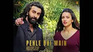 ANIMAL   Pehle Bhi Main   30 mins Loop Song