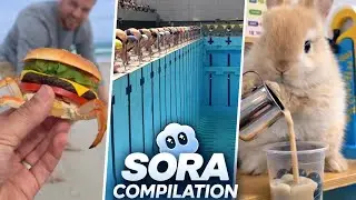 I made a Sora Compilation (This video made $1000)
