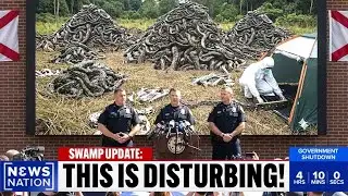 New Footage From Florida&rsquo;s Swamps Shows an Aftermath No One Was Ready For