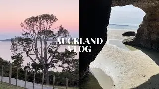 Auckland NZ Vlog 38 | Snells Beach, Matakana Farmers Market, Tawharanui Regional Park