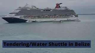 Tendering in Belize Water shuttle to Belize What it looks like?