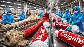 Así se Fabrica la Pasta Dental que Usas Cada Día | Proceso de Producción Paso a Paso
