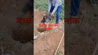 Child's acting is dangerous acting #rahulkerojgar #rahuljiheroofficial #shortvideo #shorts