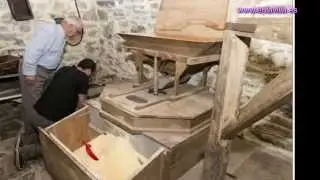 Momentos en La Feria de los Figos de Rozaes