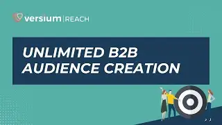 Versium REACH gives B2B agencies the luxury of creating unlimited B2B audiences