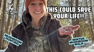 Spore Printing + Winter Mushroom Walk | Why We Hunt