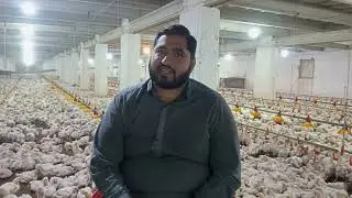 کنٹرول فارم نومبر دسمبر فلاک 20 دن کا چوزہ اور اسکی دیکھ بھال سینر سوپرواہزر ناصر کے ساتھ