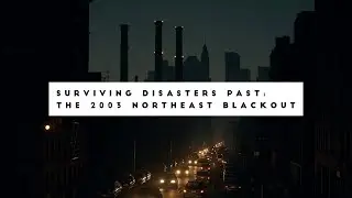 The 2003 Northeast Blackout